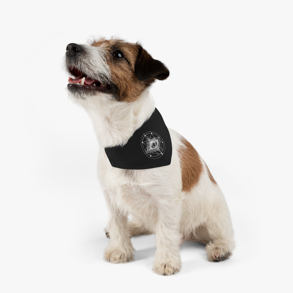 "ENLIGHTENMENT" Bandana Collar