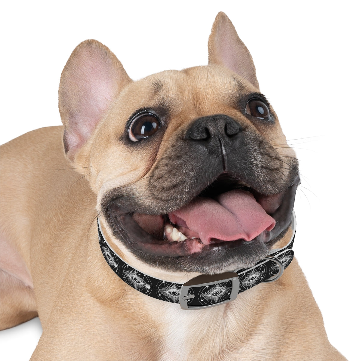 ENLIGHTENMENT Dog Collar