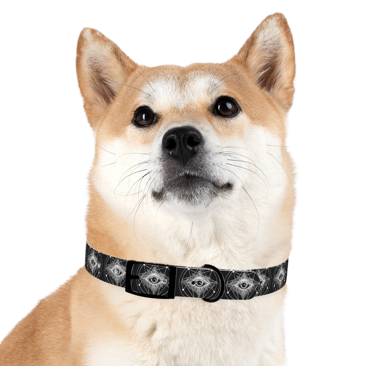 ENLIGHTENMENT Dog Collar