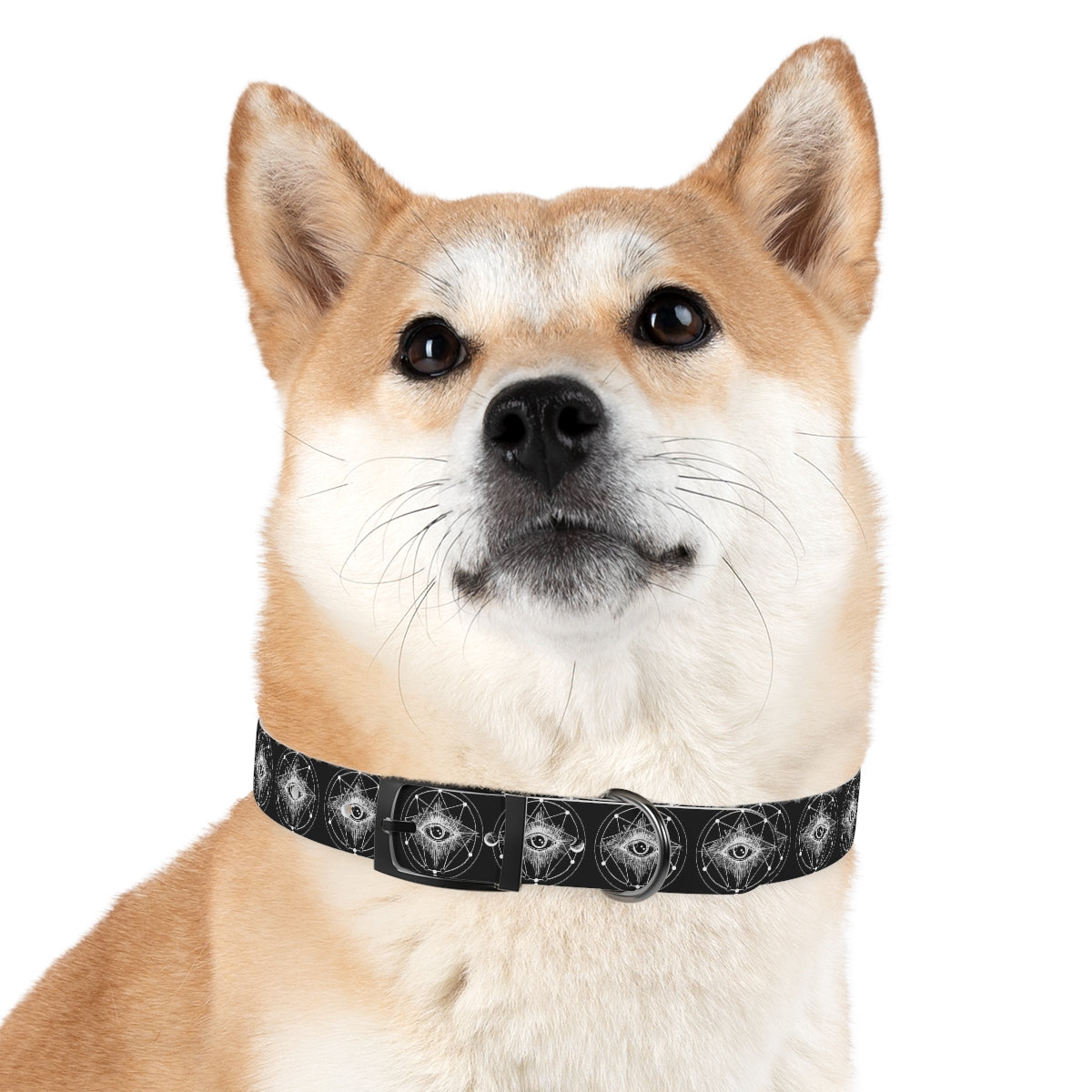 ENLIGHTENMENT Dog Collar
