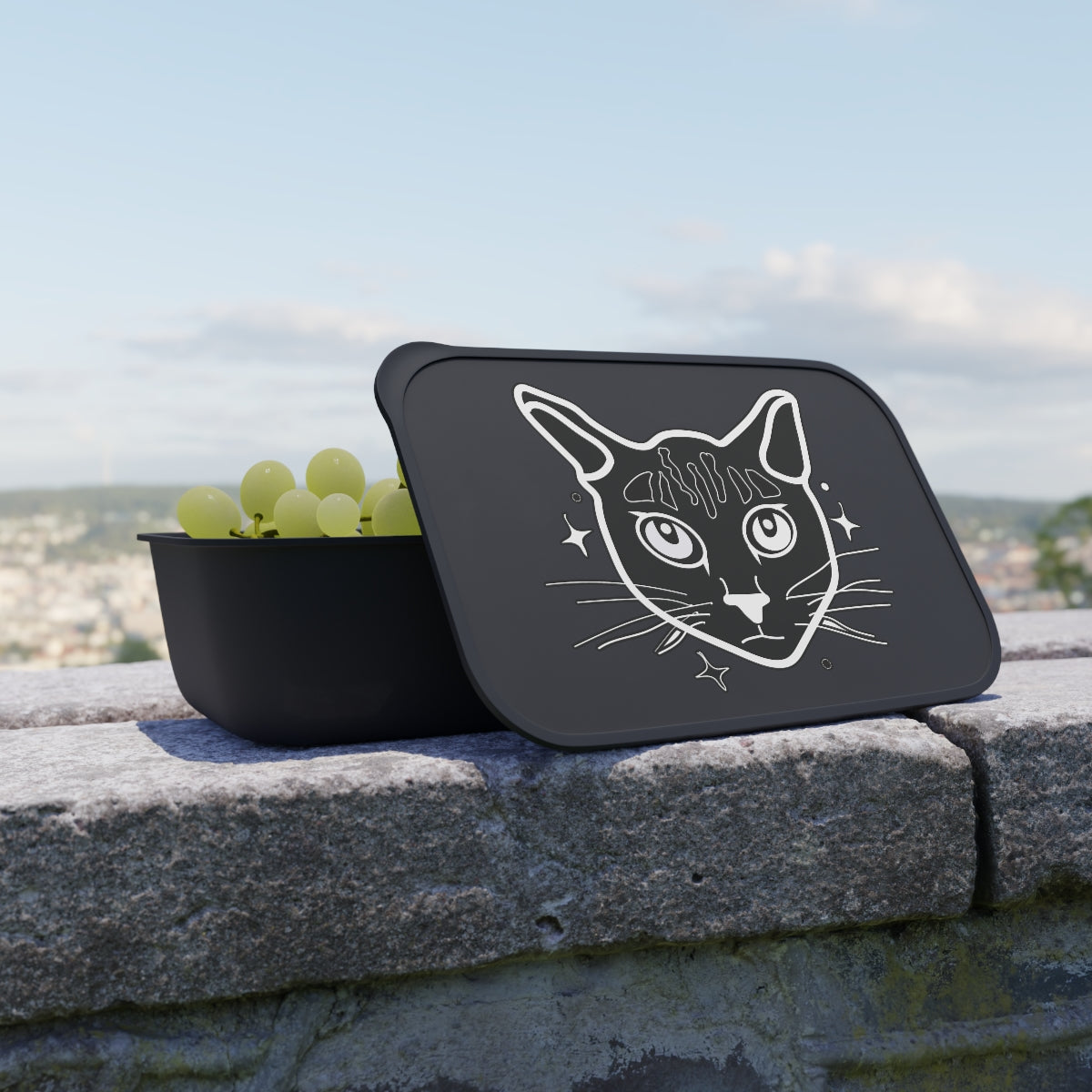 PLA Bento Box with Band and Utensils