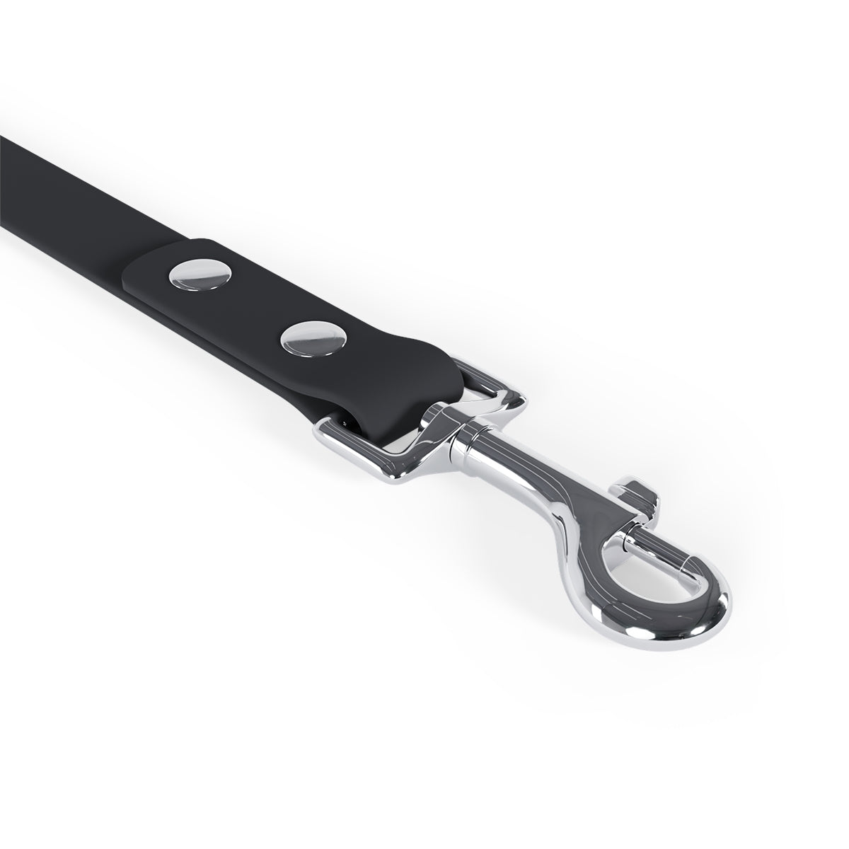 "Enlightenment" Leash