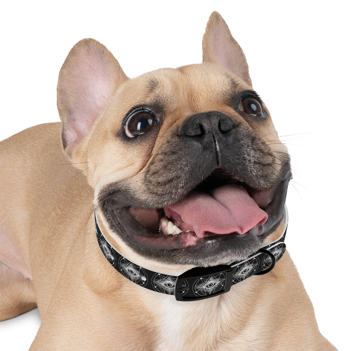 ENLIGHTENMENT Dog Collar