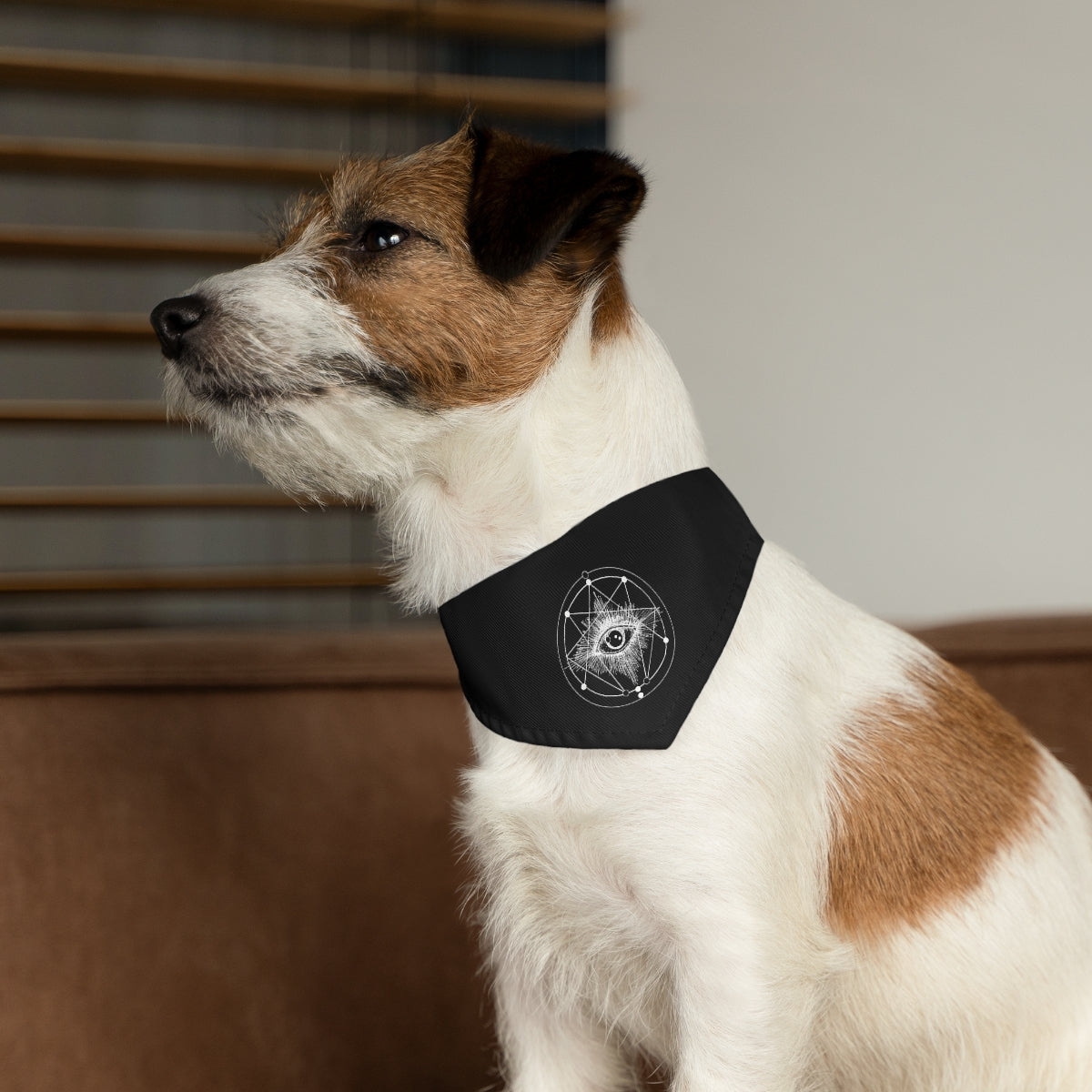 "ENLIGHTENMENT" Bandana Collar