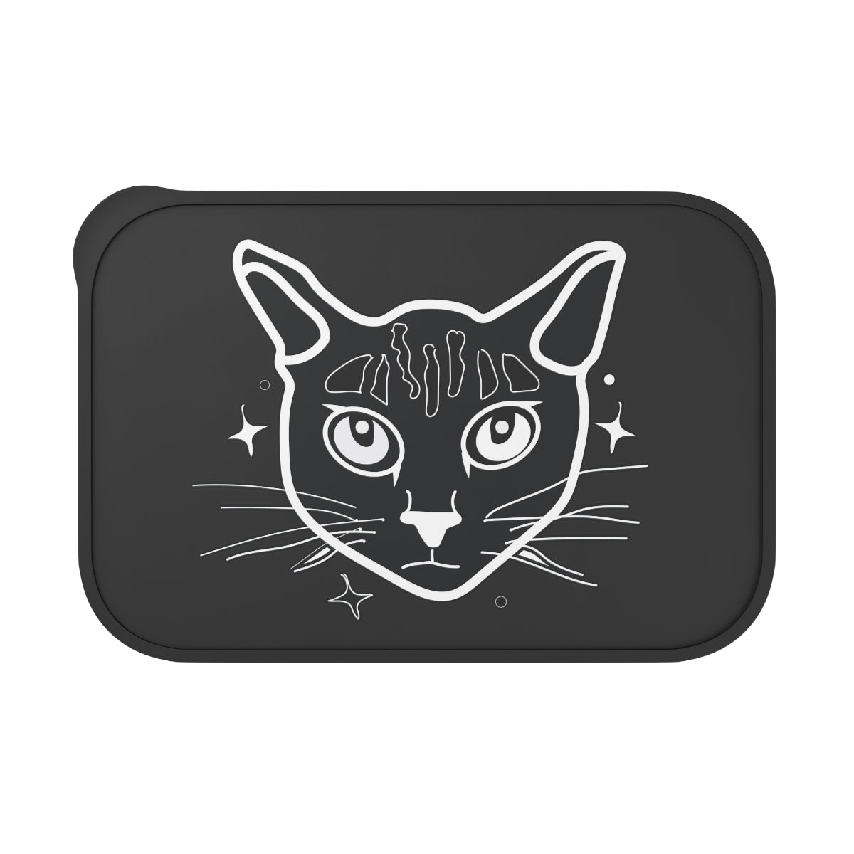 PLA Bento Box with Band and Utensils