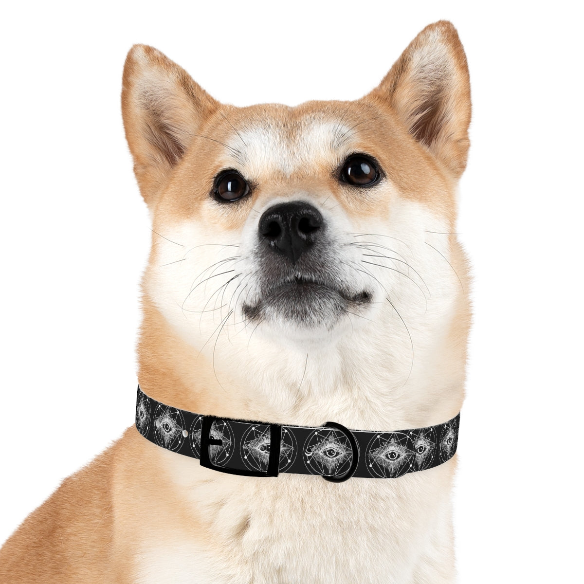 ENLIGHTENMENT Dog Collar