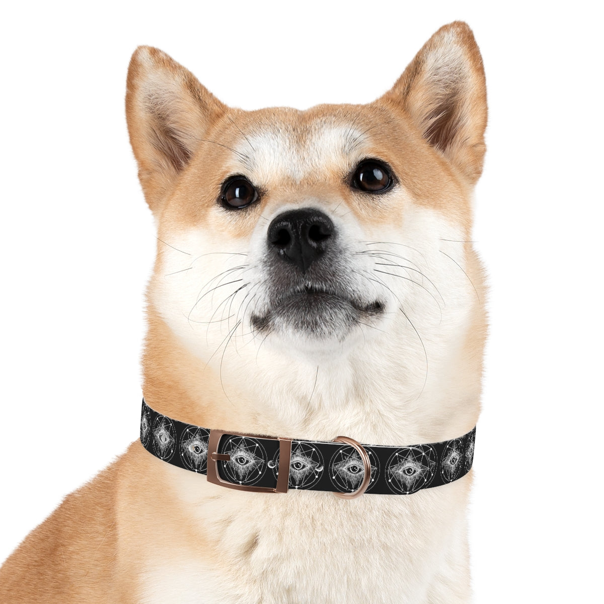 ENLIGHTENMENT Dog Collar